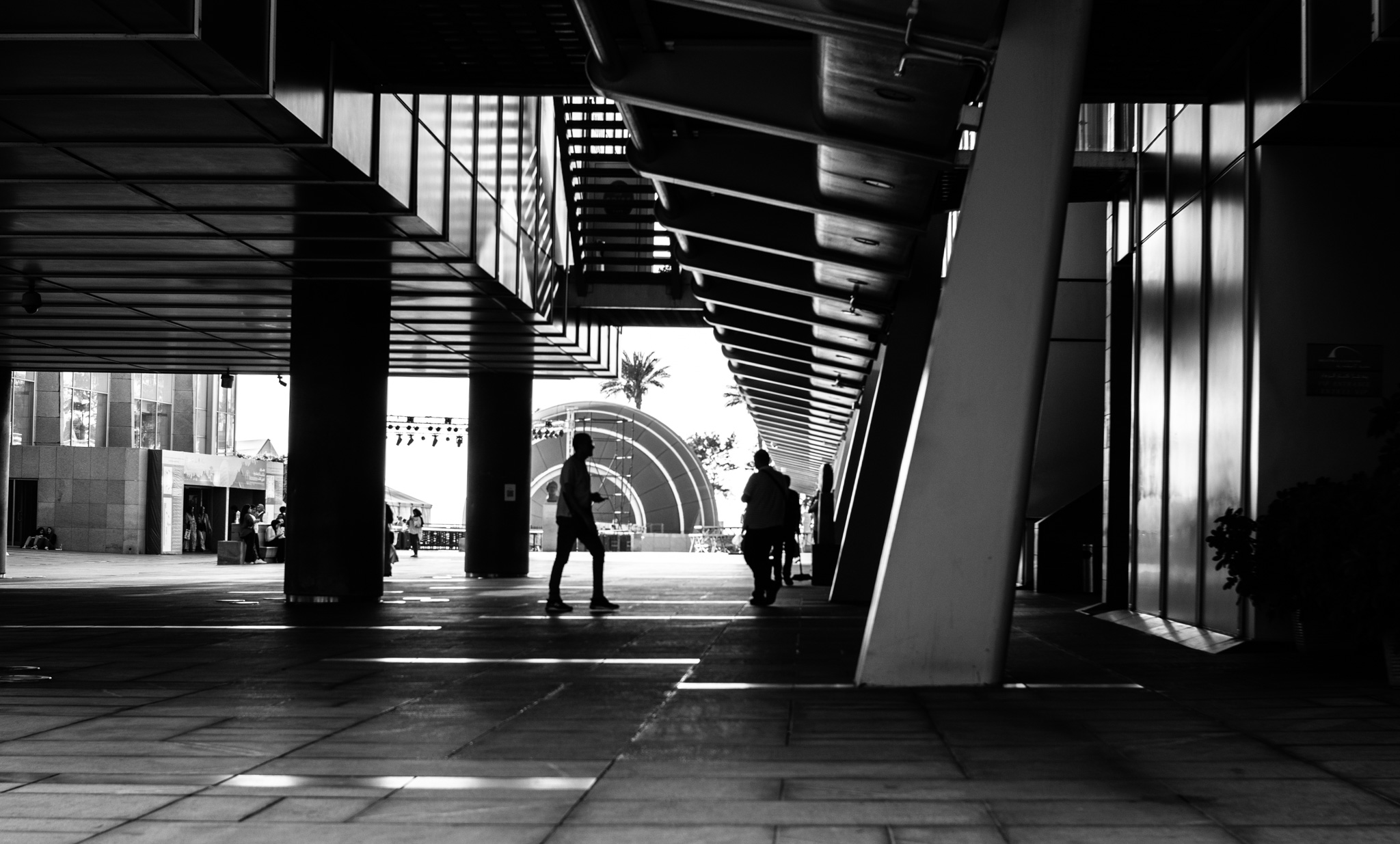 NEW UPDATE ADOBE LIGHT ROOM 2025
