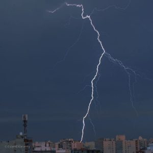 WhatsApp Image 2025-11-03 at 22.38.48_57755fbf